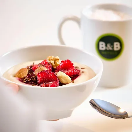 B&B Hotel Chemnitz فندق شيمنيتز